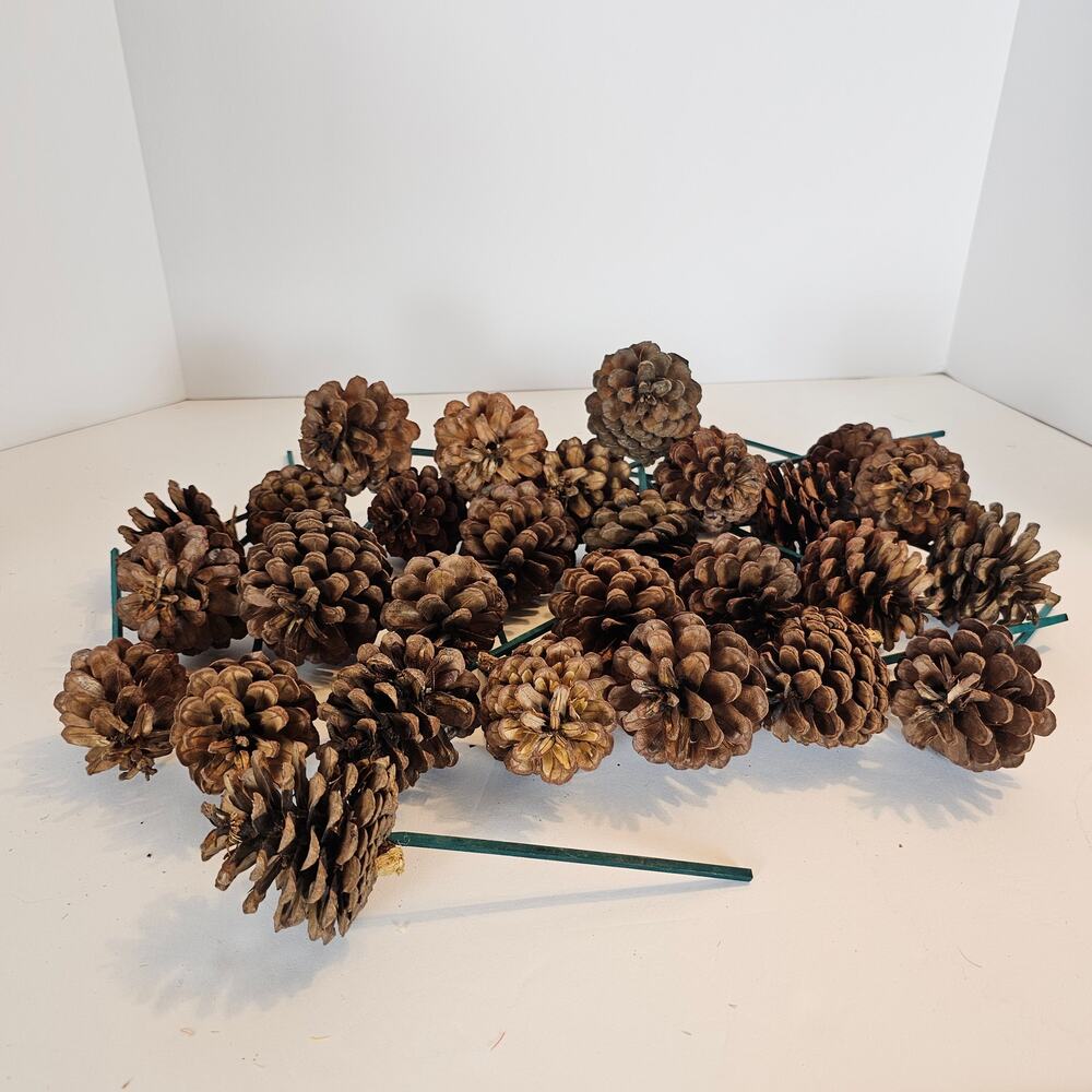 30 Natural Pine Cone Floral Picks 7in Green Wood Stems Wreath Craft Rustic Decor